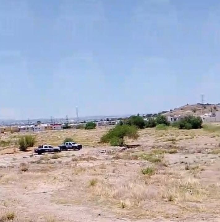 Localizan cuerpo de un hombre suspendido de un árbol al norte de Hermosillo