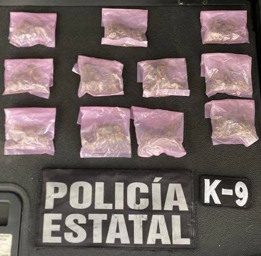 Perros K9 ayudan a detener a dos hombres y asegurar 26 envoltorios con presunta droga en Hermosillo