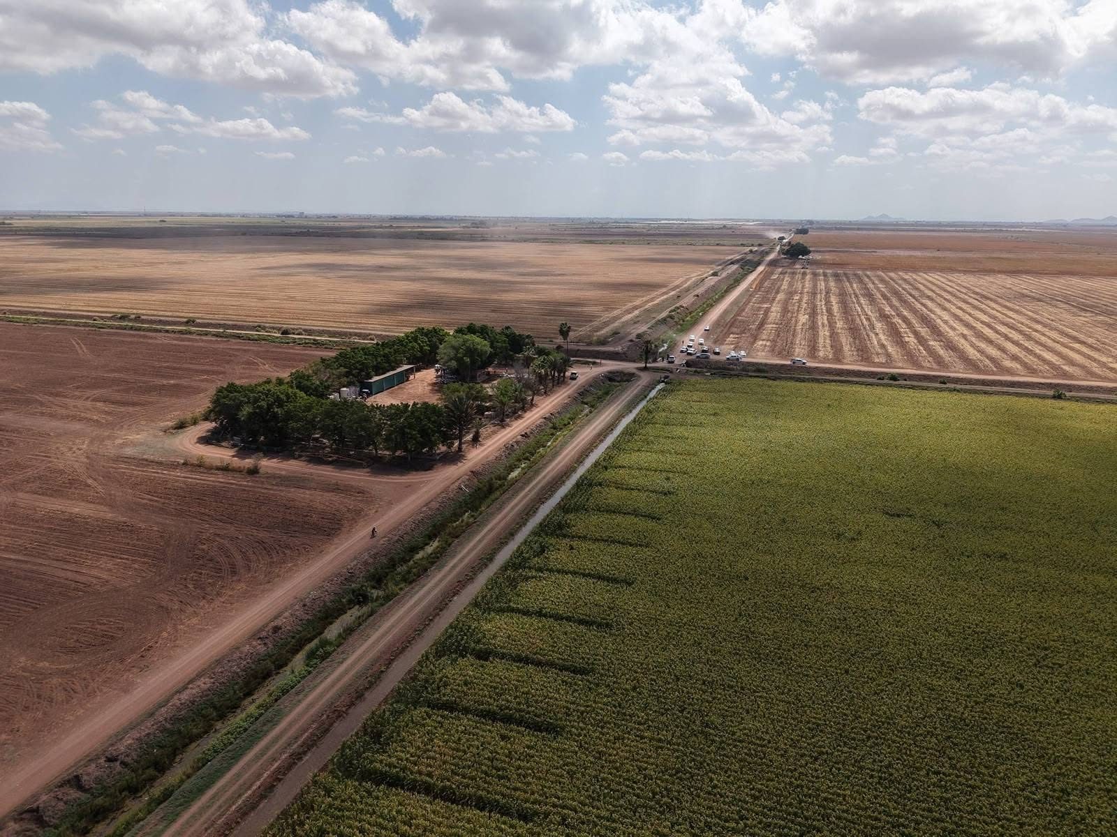 Sonora lidera el crecimiento del campo en el norte del país
