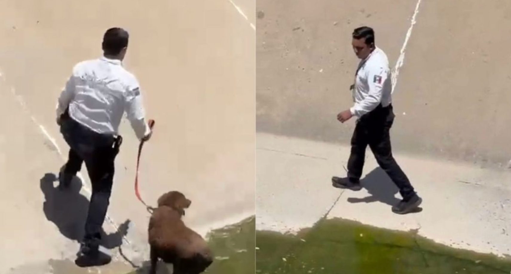 Agente de Tránsito rescata a perro atrapado en canal pluvial al sur de Hermosillo