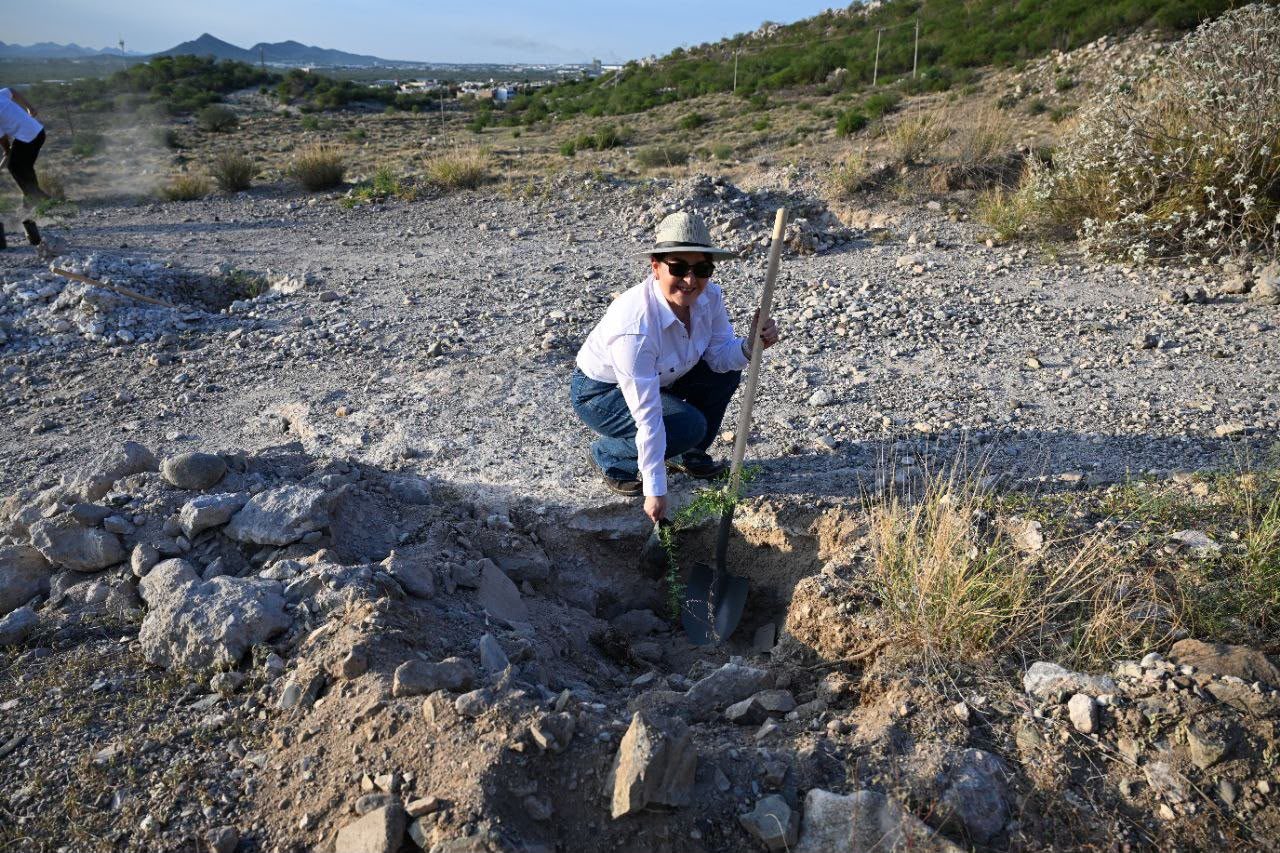 Con más de 13 mil árboles, Gobernador Durazo suma a Sonora a Jornada Nacional de Reforestación de Presidenta Sheinbaum