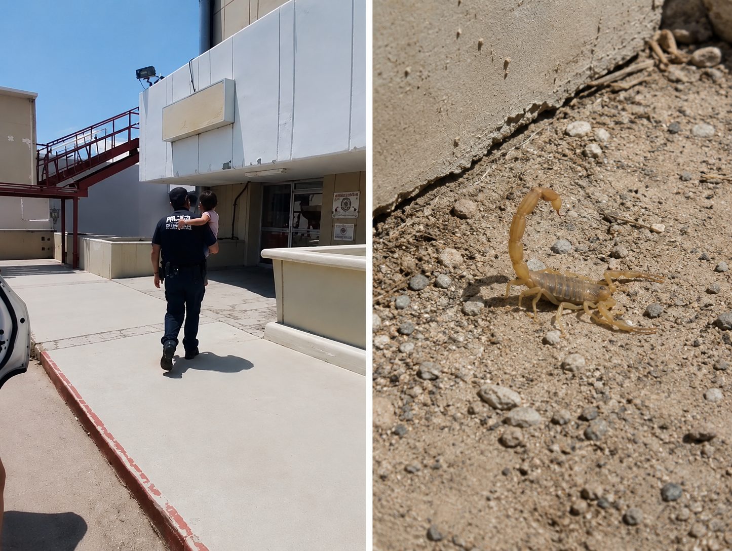 Policías auxilian a niña de 3 años tras picadura de alacrán en Hermosillo