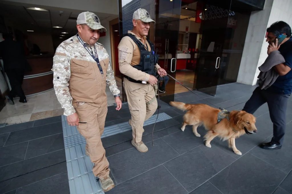 ¡DETECTAN A 35 DIPUTADOS CON ARMAS EN EL CONGRESO DE MÉXICO!