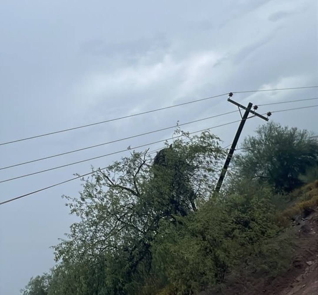 Lluvias provocan afectaciones al suministro eléctrico en Cajeme; CFE reporta 53% de avance