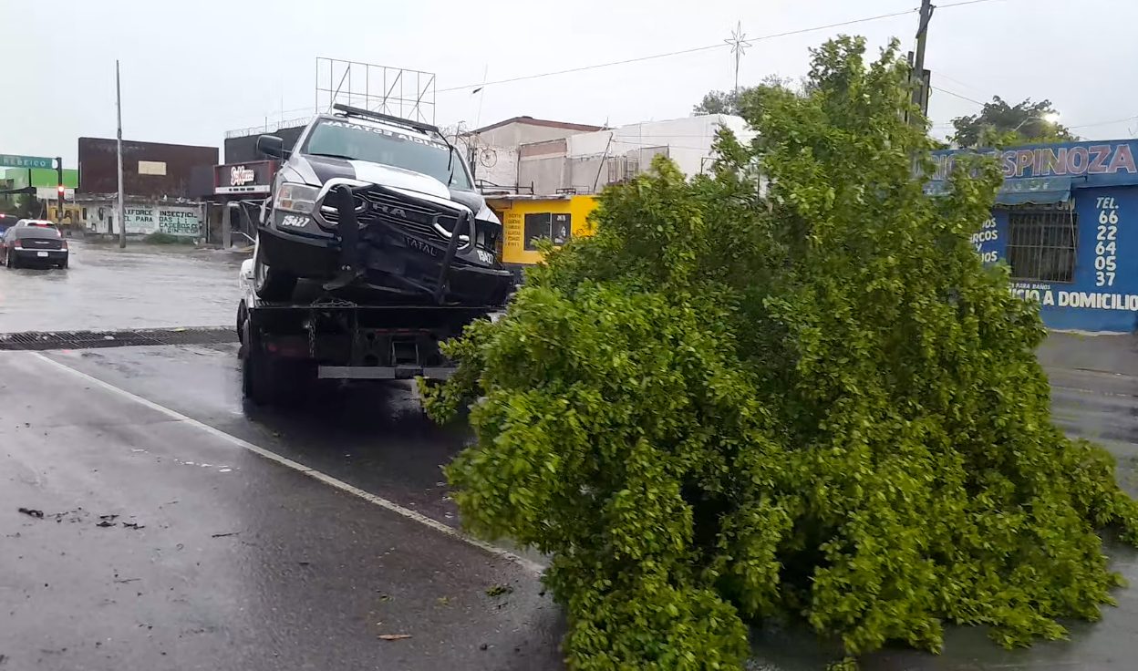 Patrulla de la Policía Estatal choca contra un árbol en el bulevar Solidaridad de Hermosillo