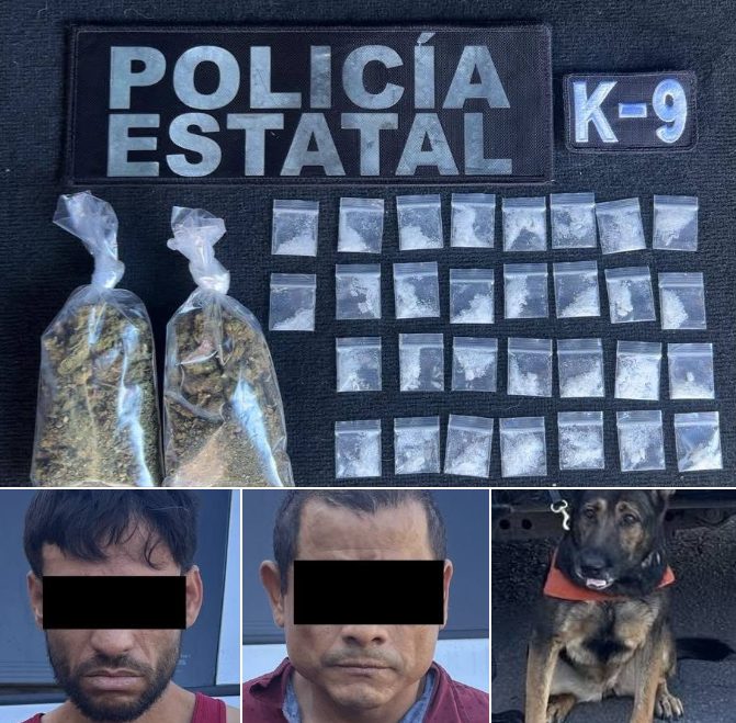 Trabajo especializado de la Unidad K-9 permite detener a dos personas en Hermosillo