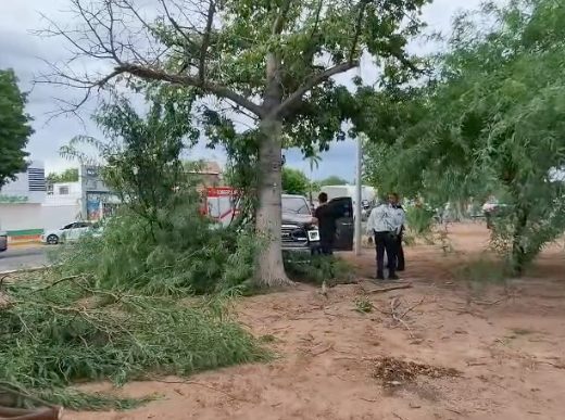 Choque termina contra un árbol en el bulevar Morelos; una mujer resultó lesionada