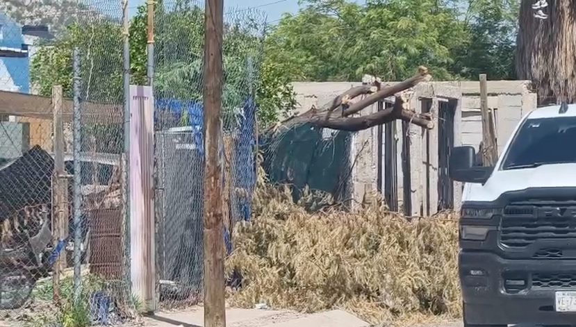Madres buscadoras alertan sobre posible fosa en vivienda de Villa del Sur