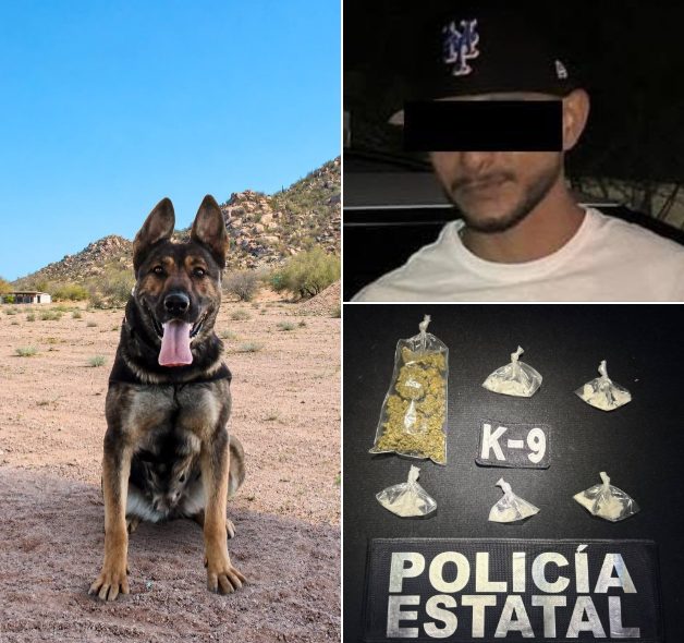 Binomio K-9 de la PESP da resultados en recorridos de prevención y vigilancia