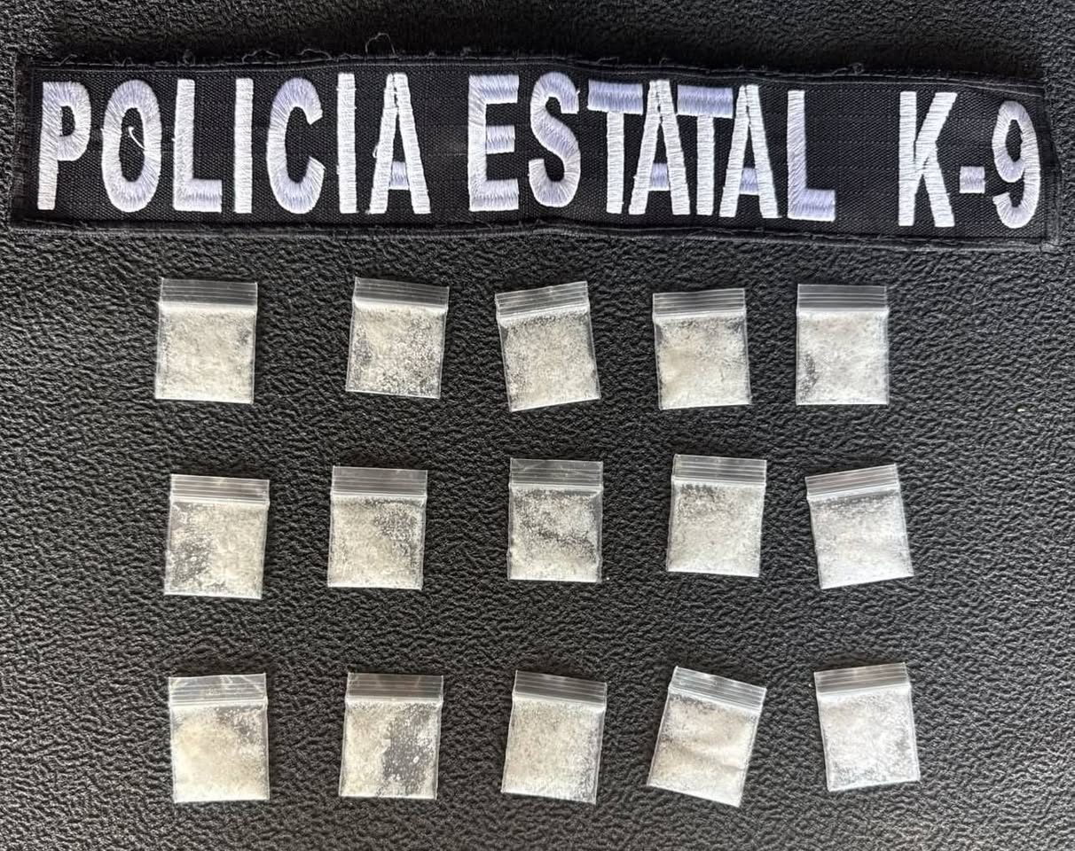 Perros K9 ayudan a detener a dos hombres y asegurar 26 envoltorios con presunta droga en Hermosillo