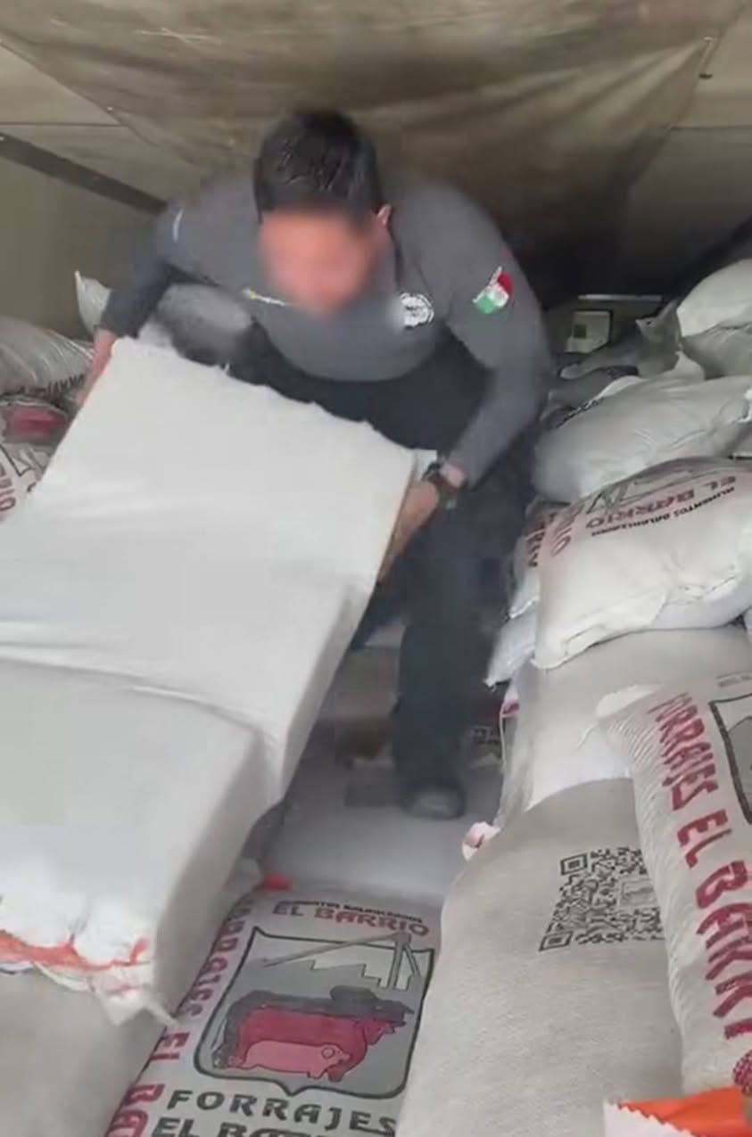 Aseguran más de tres toneladas de metanfetamina ocultas entre forraje en carretera de Sonora