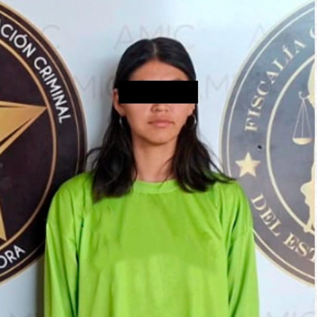 FGJES formula imputación contra mujer por probable responsabilidad en maltrato o crueldad animal en agravio de la canina "Deysi" en Hermosillo 