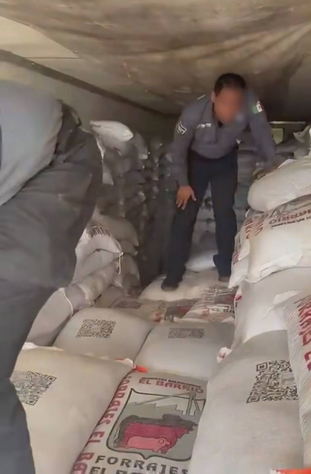Aseguran más de tres toneladas de metanfetamina ocultas entre forraje en carretera de Sonora
