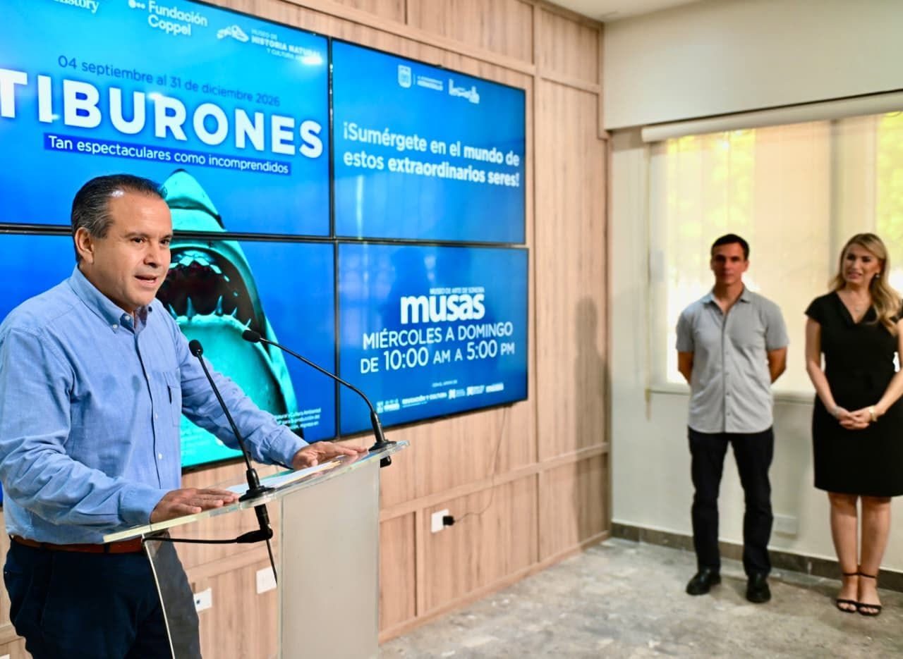 Anuncia Toño Astiazarán exposición internacional TIBURONES en Hermosillo para promover la conservación de la especie