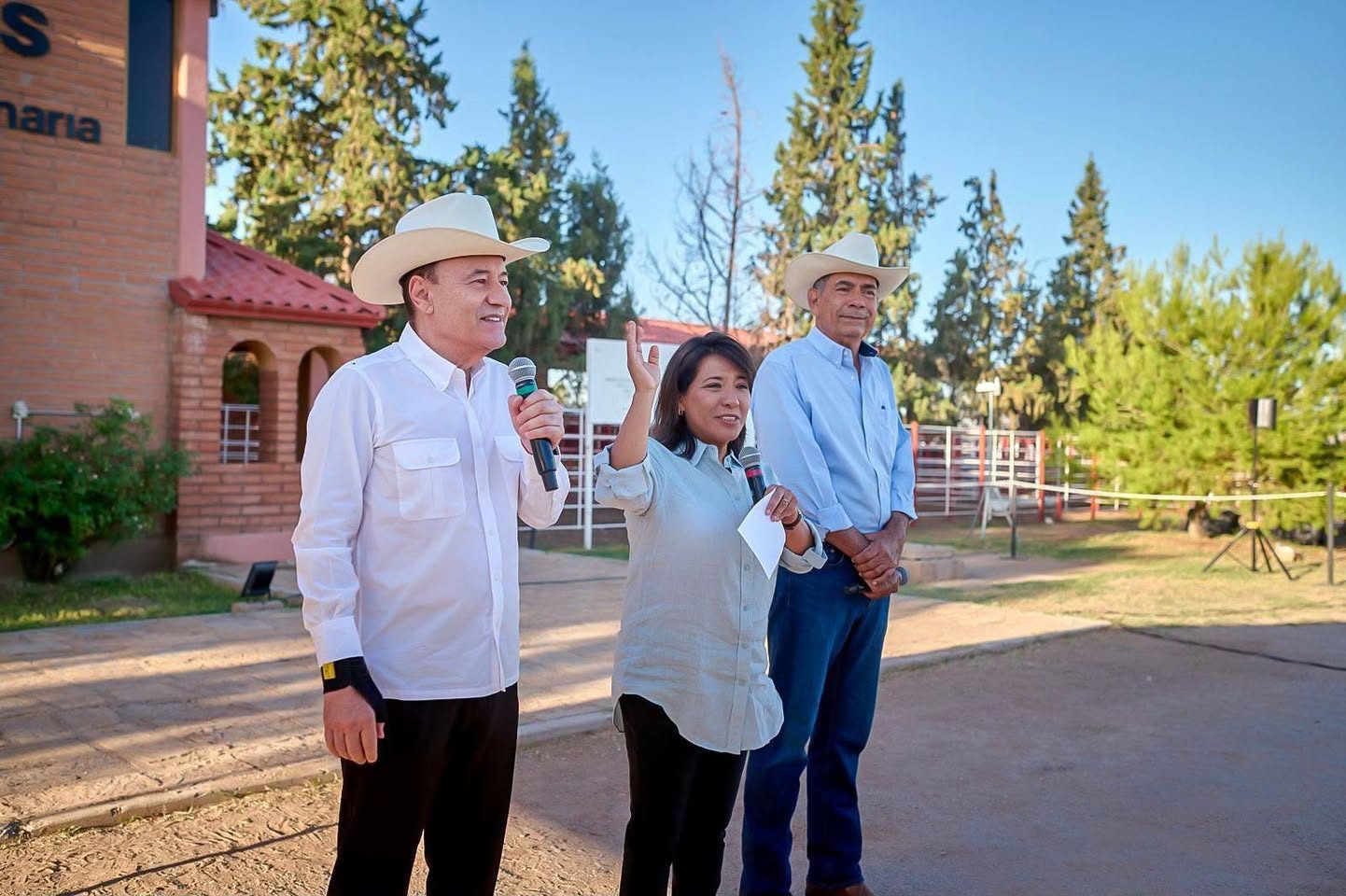Reactivan Gobernador Durazo y Presidenta Sheinbaum exportación de ganado a EU; inicia cruce por Agua Prieta