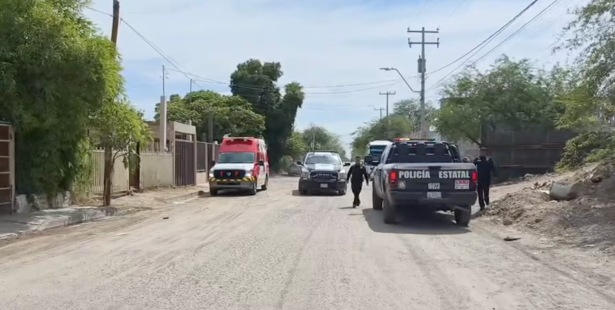 Adulta mayor resulta lesionada tras ataque de abejas al oriente de Hermosillo