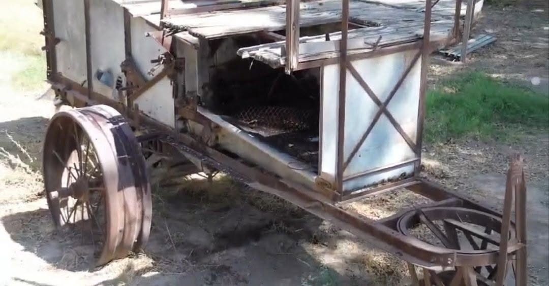 Enjambre de abejas deja 12 personas lesionadas en la Costa de Hermosillo