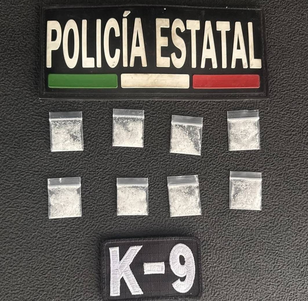 K9 Bella II ayuda a detener a hombre con ocho envoltorios de presunta droga en Hermosillo