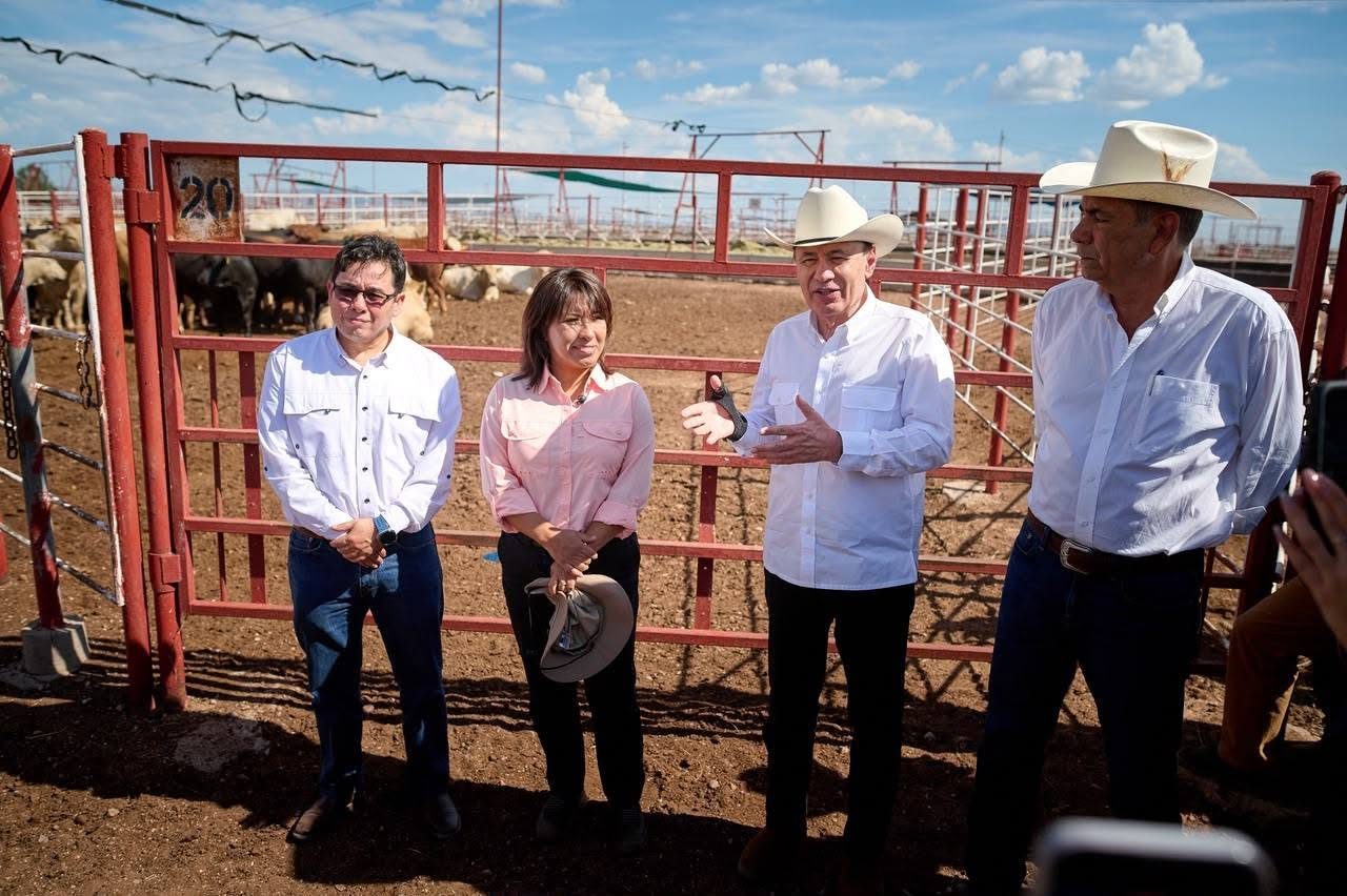 Sonora reactiva exportación de ganado a EU; gestiones de Sheinbaum y Durazo abren la frontera